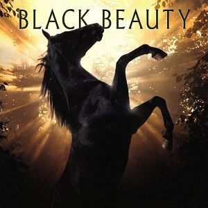 Foto Belleza negra (Un caballo llamado Furia)