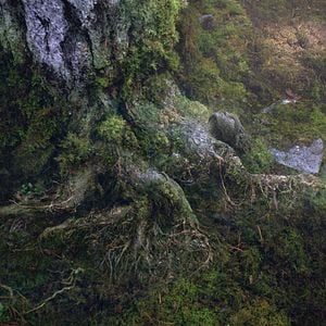 Foto Percy Jackson y el mar de los monstruos