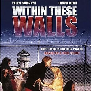 Foto Su última oportunidad