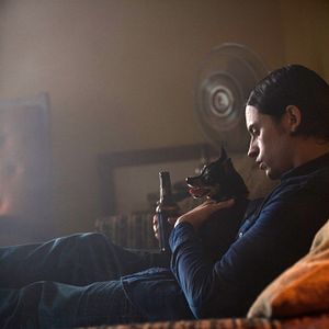 Foto Revenge for Jolly!