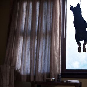 Foto Revenge for Jolly!