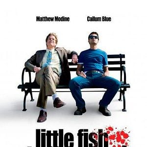 Foto Little Fish, Strange Pond