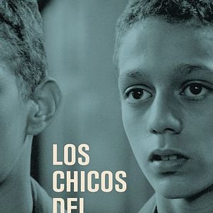 Foto Los chicos del puerto