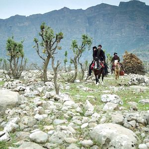 Foto Tierra de paprika