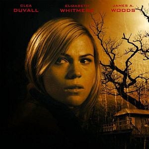 Foto Sombras en el bosque (La vigilante)