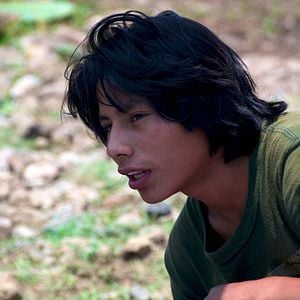 Foto La jaula de oro