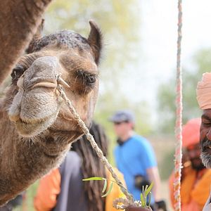 Foto Gypsy Spirit, Harri Stojka - Eine Reise
