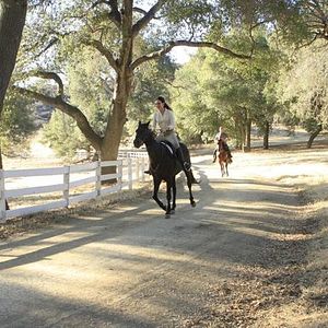 Foto Madeleine Stowe