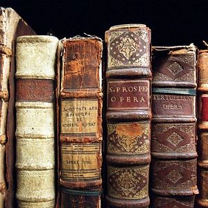 Foto Google y el cerebro mundial