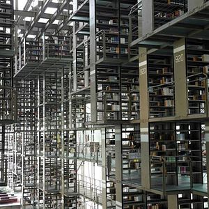 Foto Google y el cerebro mundial