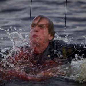 Foto Tiburón fantasma