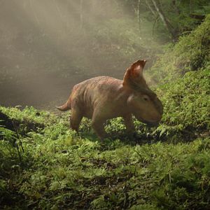 Foto Caminando entre dinosaurios