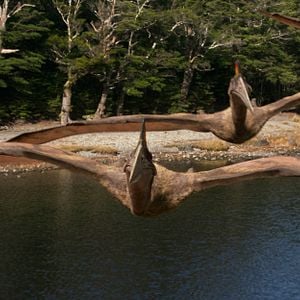 Foto Caminando entre dinosaurios