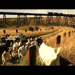 Foto El extraordinario viaje de T.S. Spivet