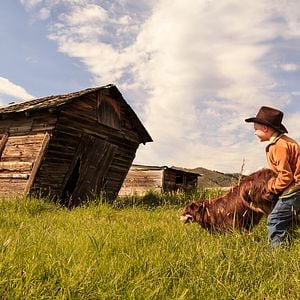 Foto El extraordinario viaje de T.S. Spivet