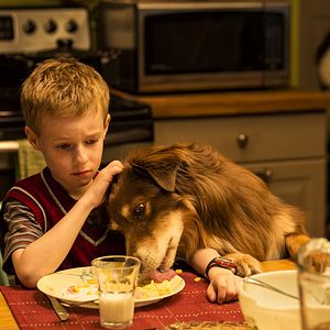 Foto El extraordinario viaje de T.S. Spivet