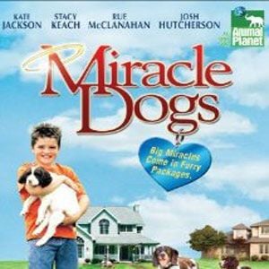 Foto Miracle Dogs