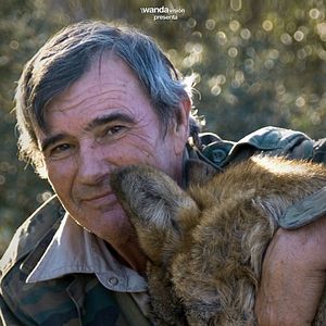 Foto Marcos, el lobo solitario