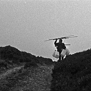 Foto Two Years at Sea