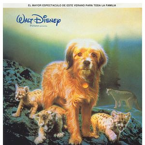 Foto Cuatro cachorros para salvar