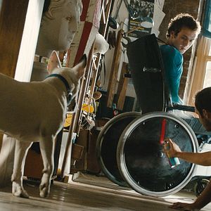 Foto Deniz Celiloğlu