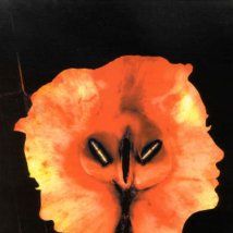 Foto Manhattan Midnight