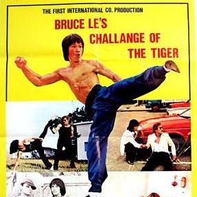 Foto Duelo del dragón y el tigre