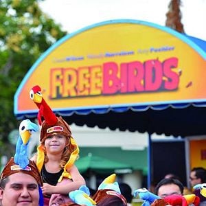 Foto Free Birds (Vaya pavos)