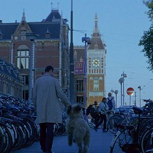 Foto Un marido perfecto