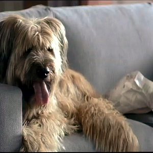 Foto Un marido perfecto