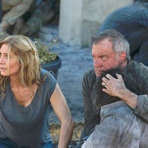 Foto Stephen Collins