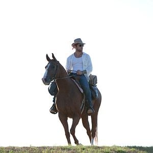 Foto Todo queda en familia