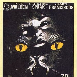 Foto El gato de las nueve colas