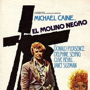 Foto El molino negro