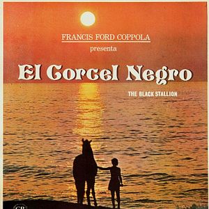 Foto El corcel negro