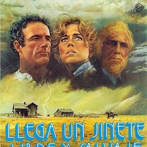 Foto Llega un jinete libre y salvaje