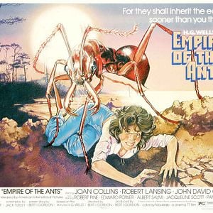 Foto El imperio de las hormigas