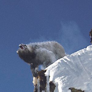 Foto Descenso mortal