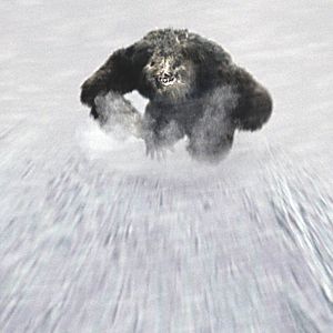 Foto Descenso mortal