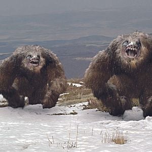 Foto Descenso mortal