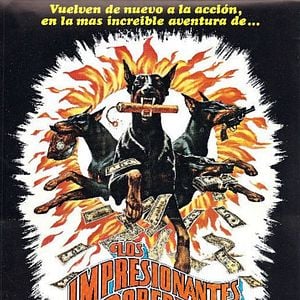 Foto Los impresionantes Dobermans