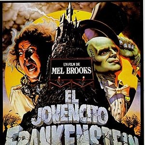 Foto El jovencito Frankenstein