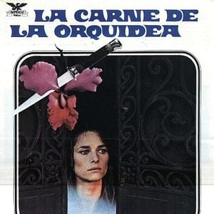 Foto La carne de la orquídea