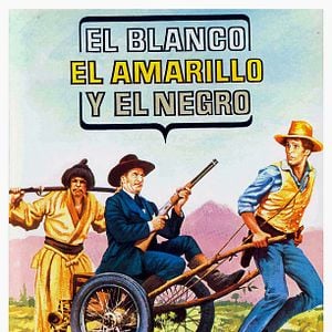 Foto El blanco, el amarillo y el negro