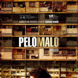 Foto Pelo Malo