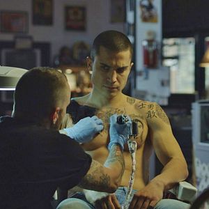 Foto Alacrán Enamorado