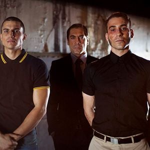 Foto Alacrán Enamorado