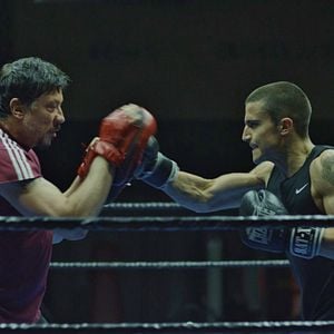 Foto Alacrán Enamorado