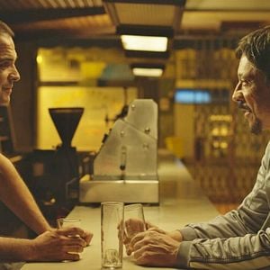 Foto Alacrán Enamorado