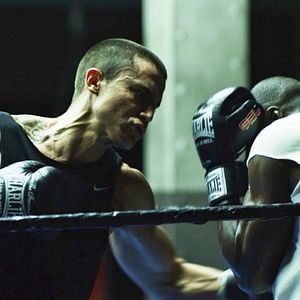 Foto Alacrán Enamorado